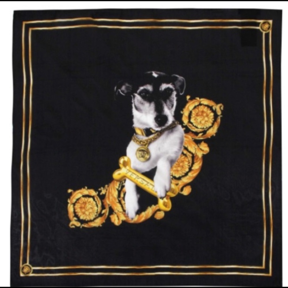 Audrey Versace silk scarf